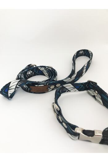 Patipatron Small Breed Dog Collar and Walking Rope Premium Aqua Collar