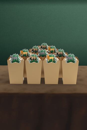 Hey Parti Safari Birthday Concept Box of 10 Corns