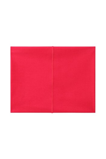 THE NORTH FACE Dipsea Cover It 2.0 Unisex Buff - Nf0a5fxz397
