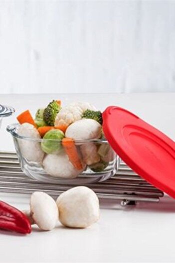 Paşabahçe 1450 Cc 4 Pieces Borcam Plastic Lid Storage Container