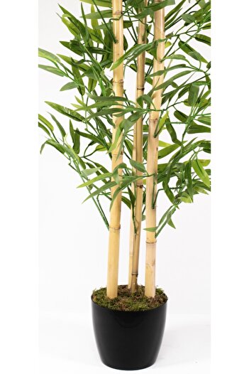 YAPAY ÇİÇEKÇİNİZ Yapay Bambu Ağacı 100 Cm 4 Bambulu