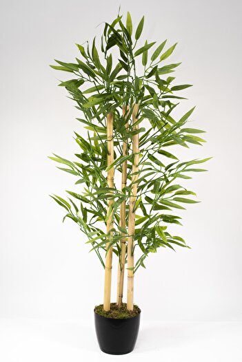 YAPAY ÇİÇEKÇİNİZ Yapay Bambu Ağacı 100 Cm 4 Bambulu