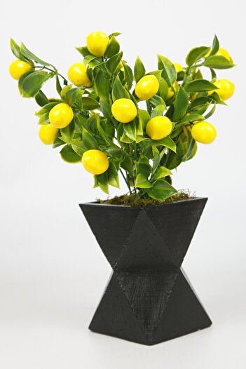 MH MiniHediye Siyah Beton Saksıda Limon Ağacı Yapay Ağaç Vazoda Yapay Bitki