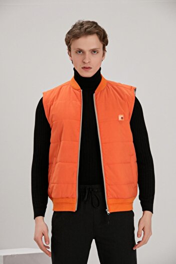 ALEXANDERGARDI Жилет Regular Fit (e22-62100)