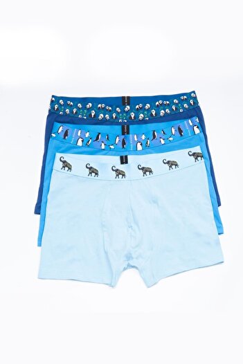 Paul Kenzie Animal.16 Çok Renkli Erkek 3'lü Boxer