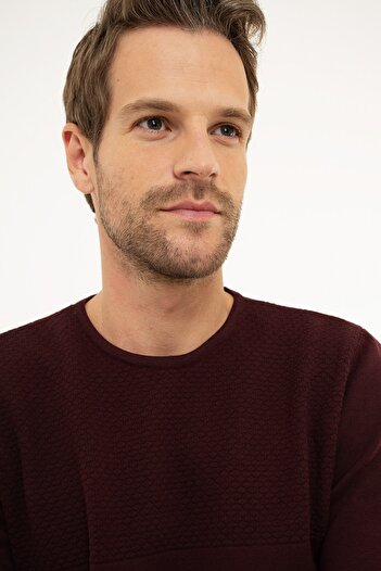 Pierre Cardin Men's Claret Red Slim Fit Knitwear Sweater G021GL0TK.000877897