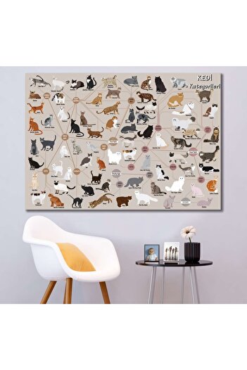caddeko Srvt3 - Kedi Cinsleri, Kedi Türleri, Pet Shop, Veteriner Kliniği Kanvas Tablo
