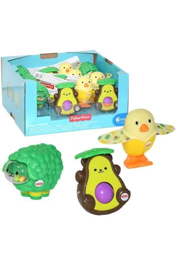 FISHER PRICE Sürprizli Oyuncak (KARIŞIK MODEL 1 ADET)