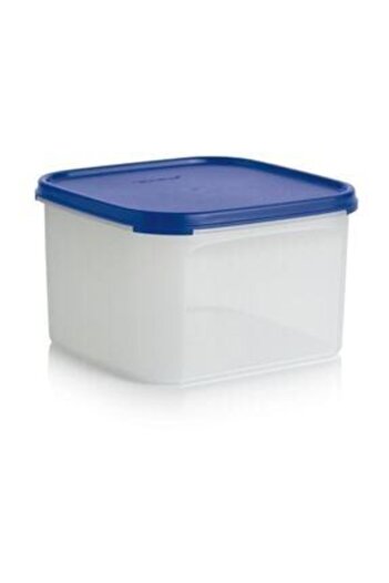 Tupperware Oval Modular Storage Container 2.6 L