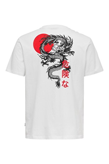 Only & Sons Men's White T-Shirt - Lung Reg Ss,22018480-01