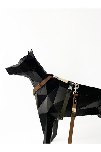 Jimi pet Retro Model H Type Collar Set Medium Size