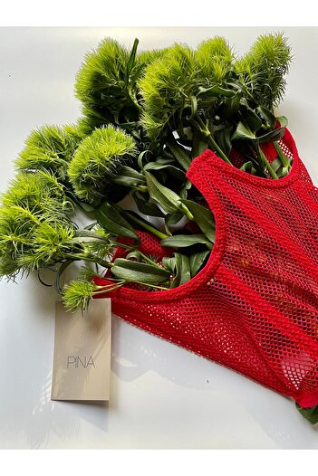 Pina Red Mesh Vintage Corset