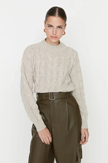 Trendyol Collection Stone Crop Strickpullover mit Stehkragen TWOAW22KZ1634