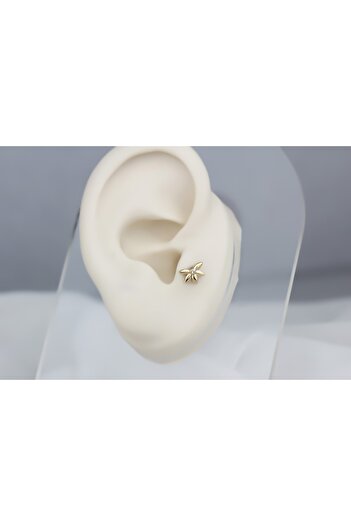 Glorria Altın Yonca Tragus Piercing