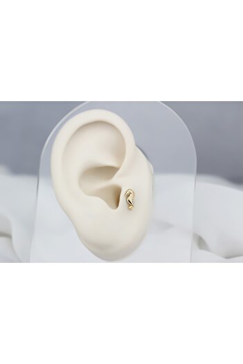 Glorria Altın Deniz Atı Tragus Piercing