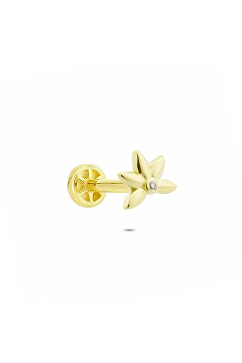 Glorria Altın Yonca Tragus Piercing