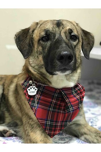 Patipatron Adjustable Large Breed Dog Scarf