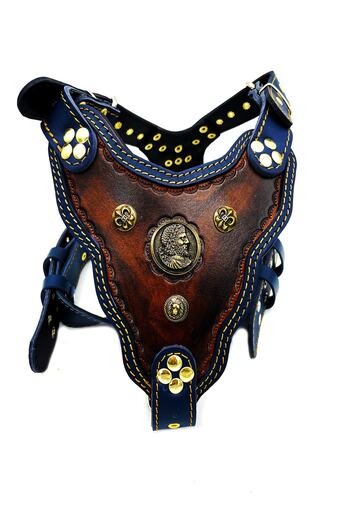 Tasma Market Navy blue-brown Antique Roman Leather Dog Chest