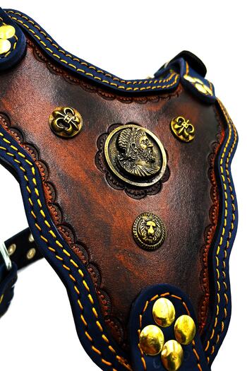 Tasma Market Navy blue-brown Antique Roman Leather Dog Chest