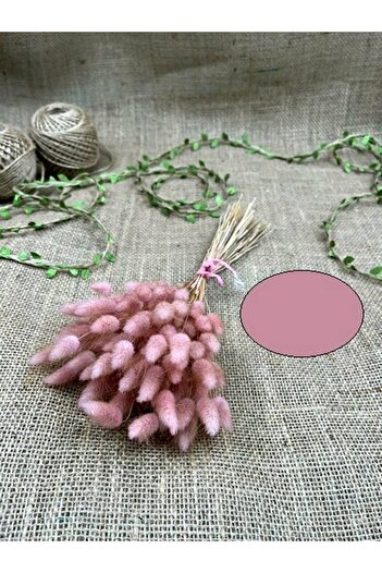 Hobigram Floare artificială din bumbac liliac Lagurus Floare naturală uscată – Floare artificială și uscată, design elegant