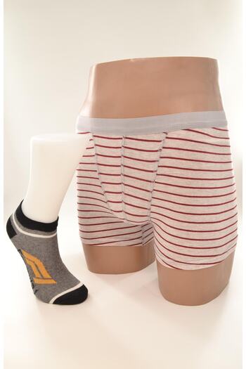 Flora Boy's Combed Boxer Cotton Socks Combination Set
