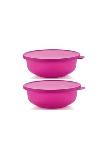 Tupperware Aloha 2-Piece 450 ml Storage and Serving Container