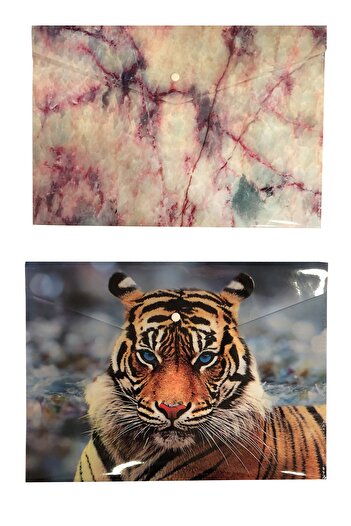 FLY COLOR Patterned Snap File 2 Pieces