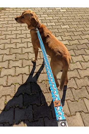 UTDpet Pandas Dog Extension Leash Dispatch Strap Picco
