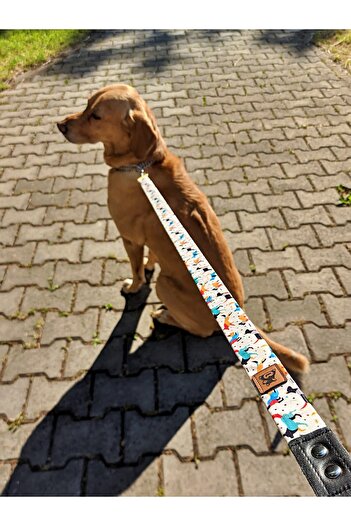 UTDpet Active Dog Extension Leash Dispatch Strap Grande