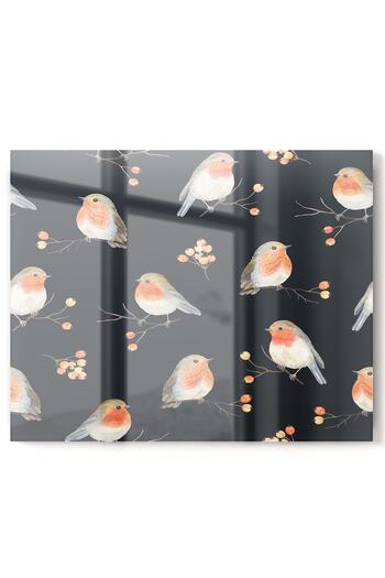 Olinpa Premium Kitchen Glass Stove Back Protector Countertop Built-In Back Protector |   Birds Black Orange