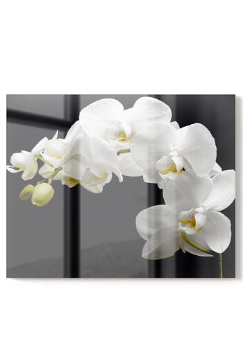 Olinpa Premium Kitchen Glass Stove Back Protector Countertop Built-In Back Protector 50X76Cm |   Flower Black