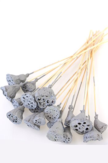 Yapay Çiçek Deposu 20 Adet Bambu Şiş Saplı Mini Lotus Çiçeği Plant Duman Grisi (Gerçek Lotus)