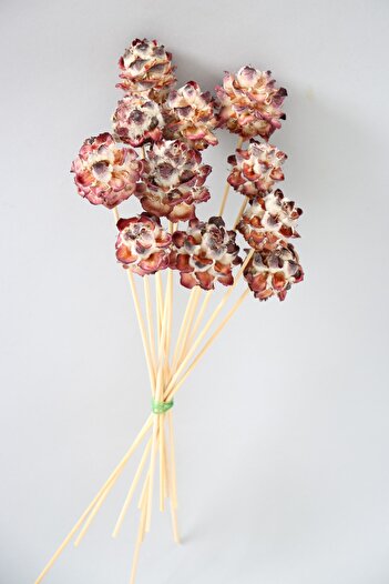 Yapay Çiçek Deposu Dried Flower 10 Feathered Amazon Roses