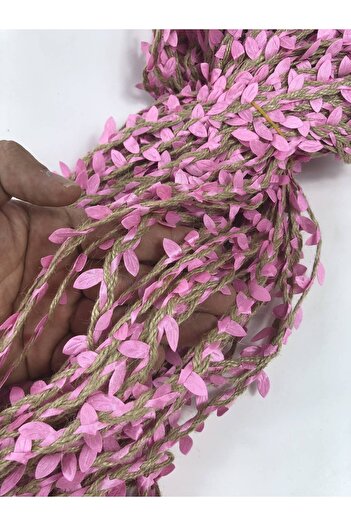 Hobigram شريط زخرفي من أوراق القصب الوردي بطول 5 أمتار - شريط زخرفي، تصميم أنيق، إكسسوار نسائي