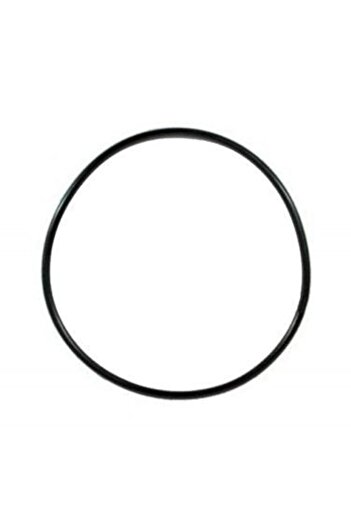 SunSun 303 Bucket Gasket