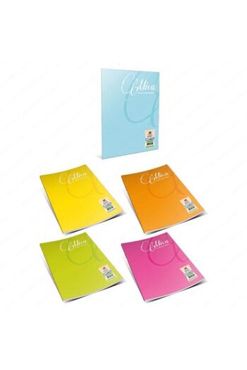 Bigpoint Gıpta Mica A4 100 Sheets Lined Notebook