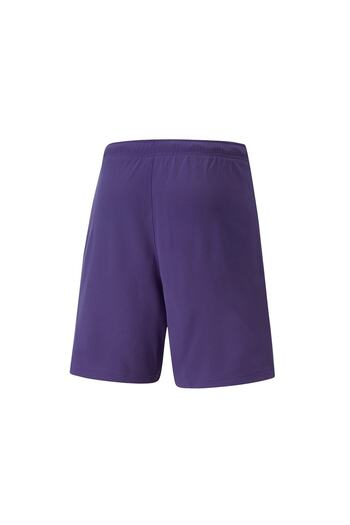 Puma Teamrise Short Men's Football Shorts70494210 Purple