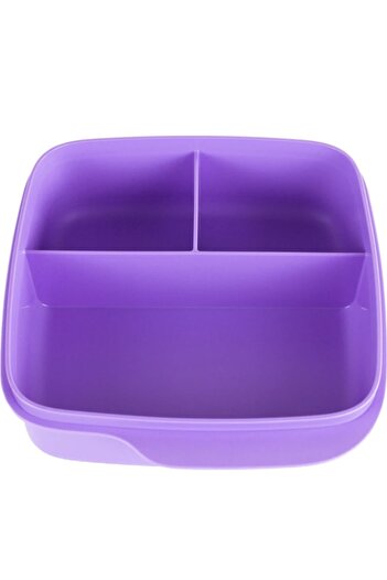 Tupperware Compartmented Lunch Box