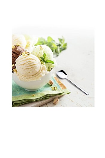 Nehir Sea Ice Cream Spoon - 6 Piece Ice Cream Spoon Dessert Spoon Size