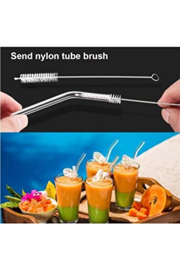 Bremen Home 6-Piece Thick Glass Straws + Brush