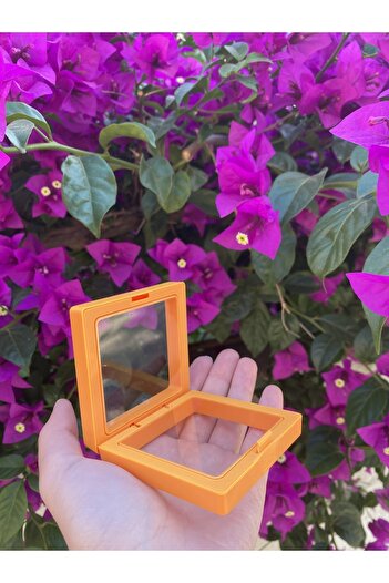 SWORDS CONCEPT Orange Three-Dimensional Multi-Purpose Accessory Box 7X7X2 / Small
