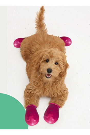 Alphadog Pink Dog Overshoes 6 Pieces