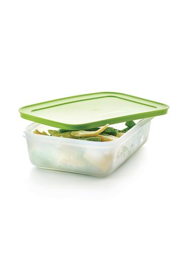 Tupperware 1 Lt Alaska Series Deep Freezer Storage Container - Esc