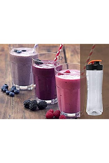 Electrolux Esb2500 2 Şişeli Spor Blender, 300 W, Paslanmaz Çelik (600 Ml X 2 Şişe)