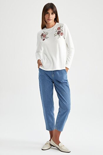 DeFacto Traditional Regular Fit Crew Neck Long Sleeve T-Shirt