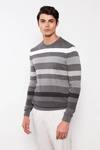 LC Waikiki Men's Sweater