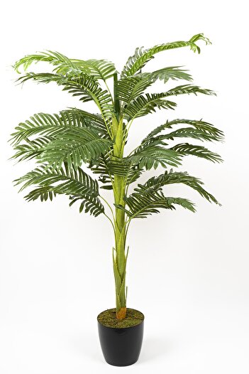 YAPAY ÇİÇEKÇİNİZ 130 Cm Yapay Areka Ağacı 22 Dallı
