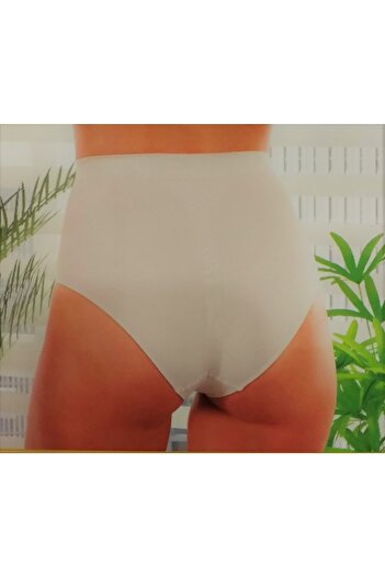 Layza Form High Waist Supporting Panties