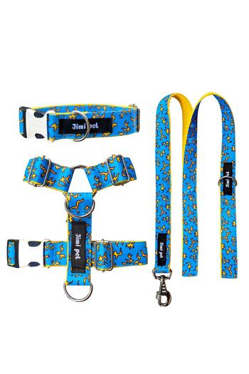 Jimi pet Blaze Model Leash Set