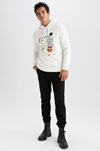DeFacto Світшот з капюшоном Regular Fit